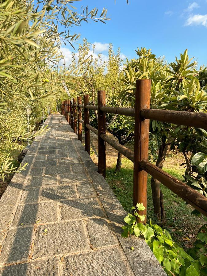 Terre Villa Katia Santa Maria di Licodia Esterno foto