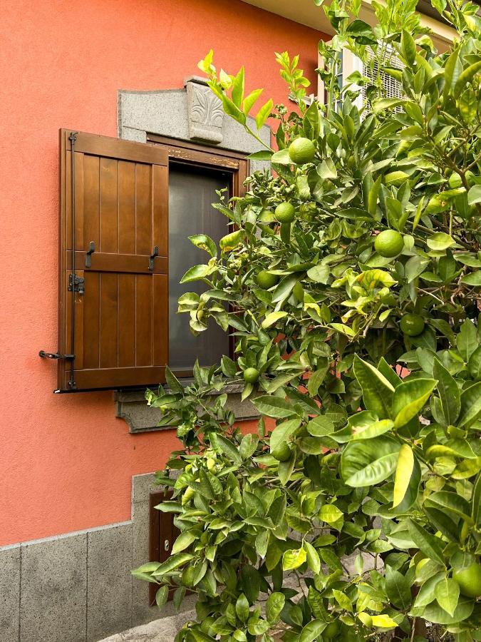 Terre Villa Katia Santa Maria di Licodia Esterno foto